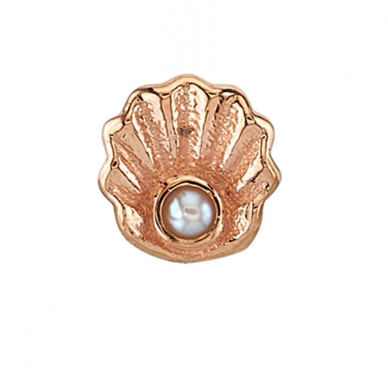SCALLOP SHELL WITH PEARL